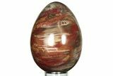 Colorful, Polished Petrified Wood Egg - Madagascar #211132-1